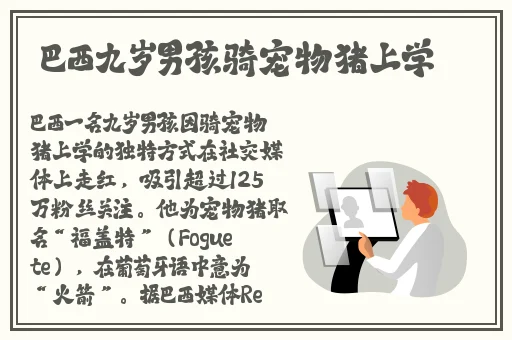 黑料不打烊在线观看入口
